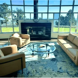 mid-century modern furniture store