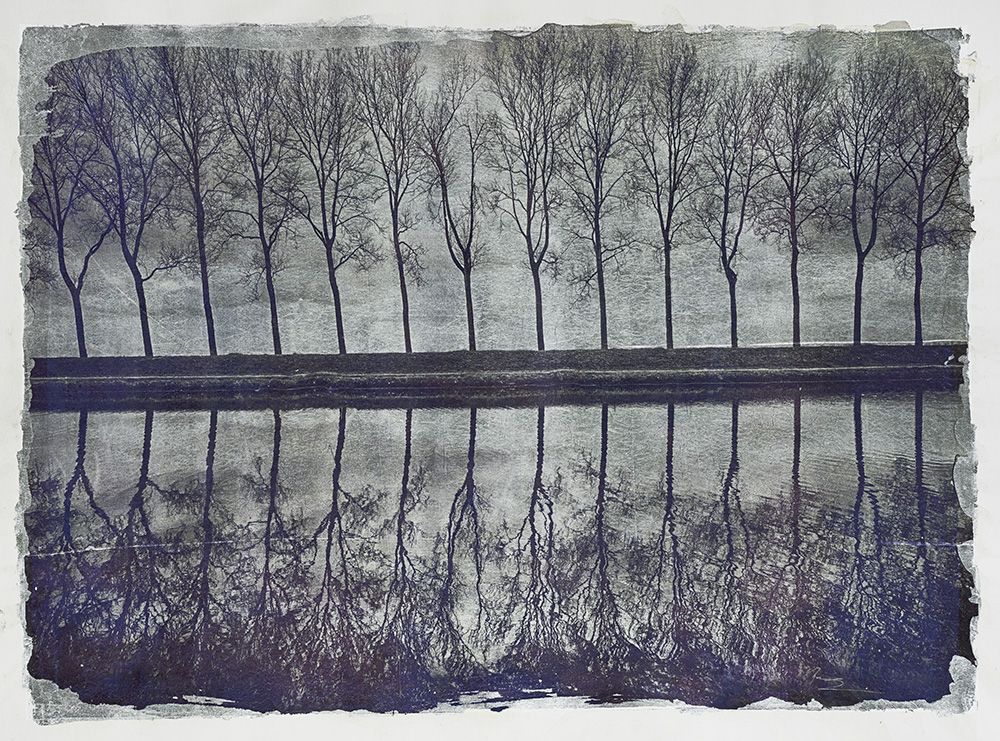 Reflections Series -  36"Hx48"W