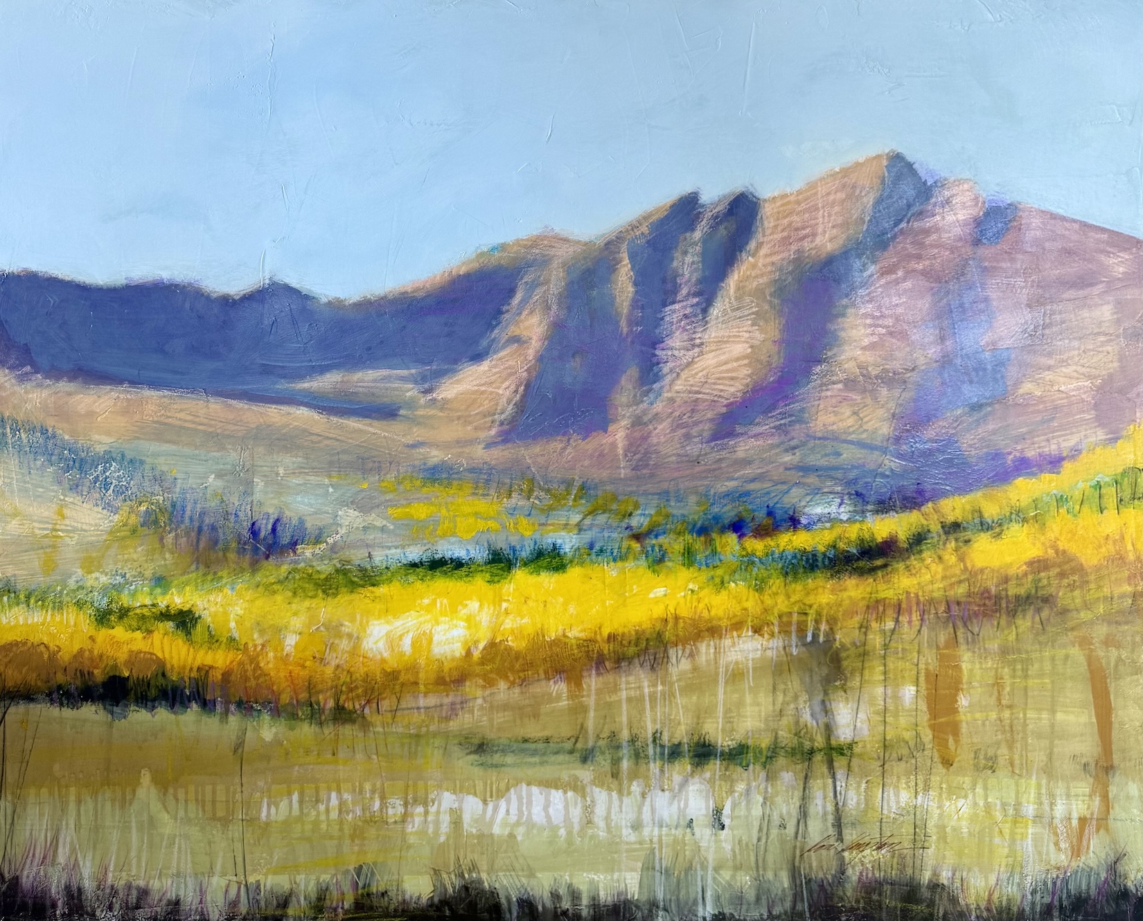 Mountain Landscape - 48Wx60H de palo dance